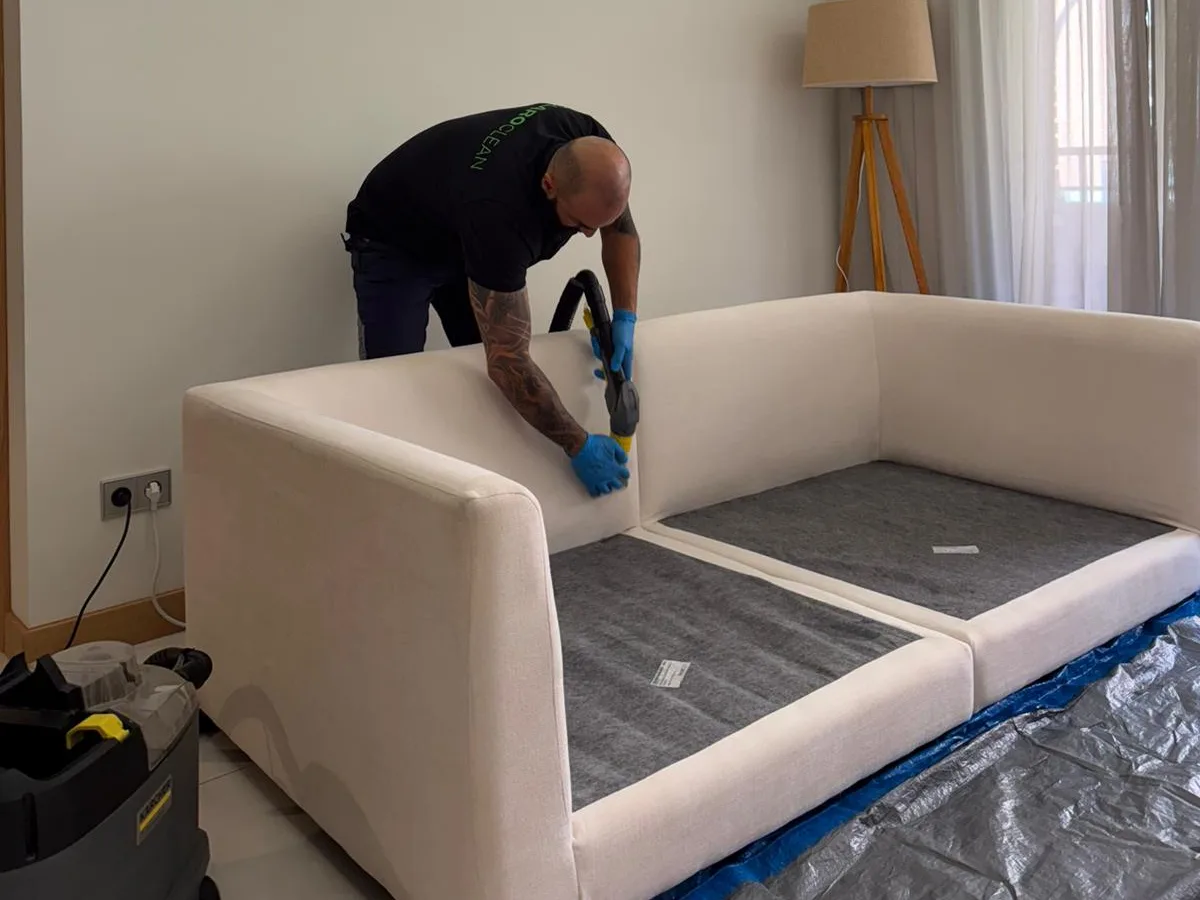 Sofa cleaning